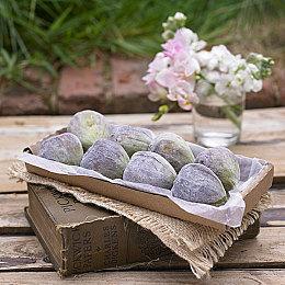 《遗迹2》新预告片：第13监区和迷宫